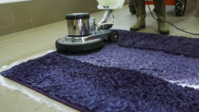 ניקוי שטיחים מקצועי